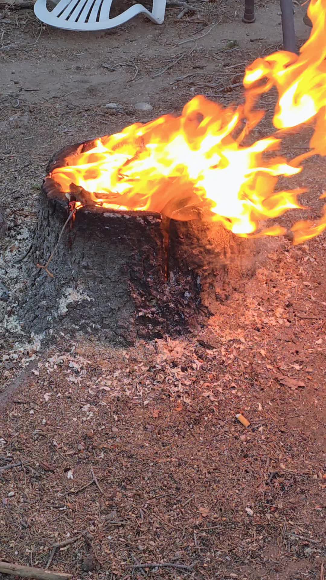 @ᛑᛗᛛ☽⛥ↁᵋᴻ°ᶡ∊$♧|/|¡⍲G⍲420⛥☾ᛑᛗᛛ