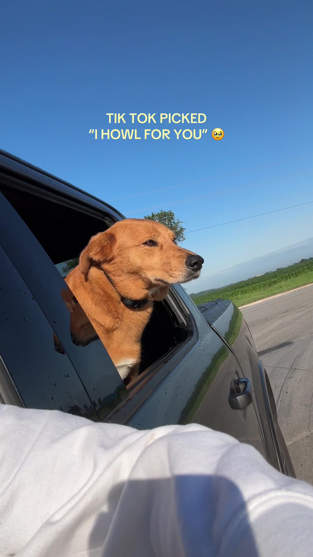 @Nichole Brooke✰