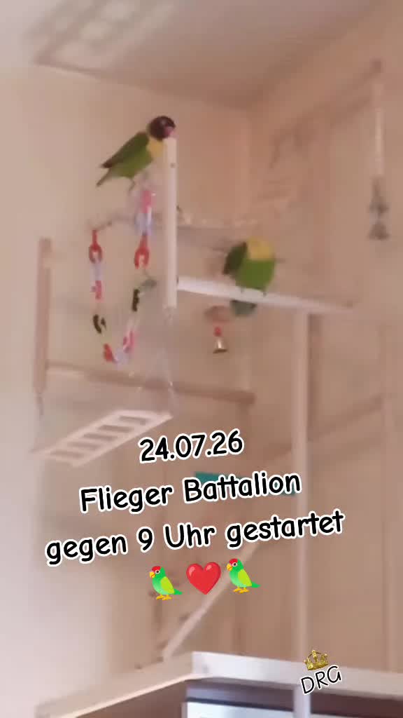 @🏳️&zwj;🌈💙꧁💥𝕐𝕧𝕚💥꧂💙🏳️&zwj;🌈