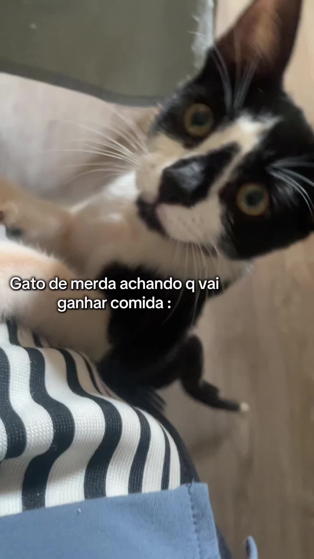 @Elgsz
