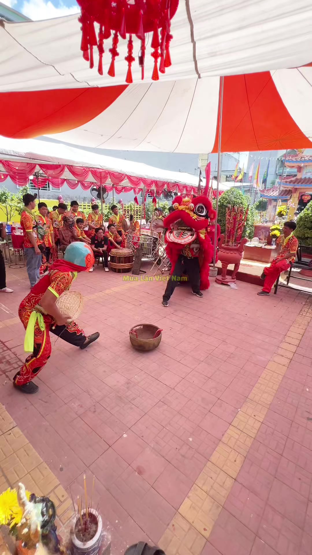 @Múa Lân Việt Nam 🇻🇳