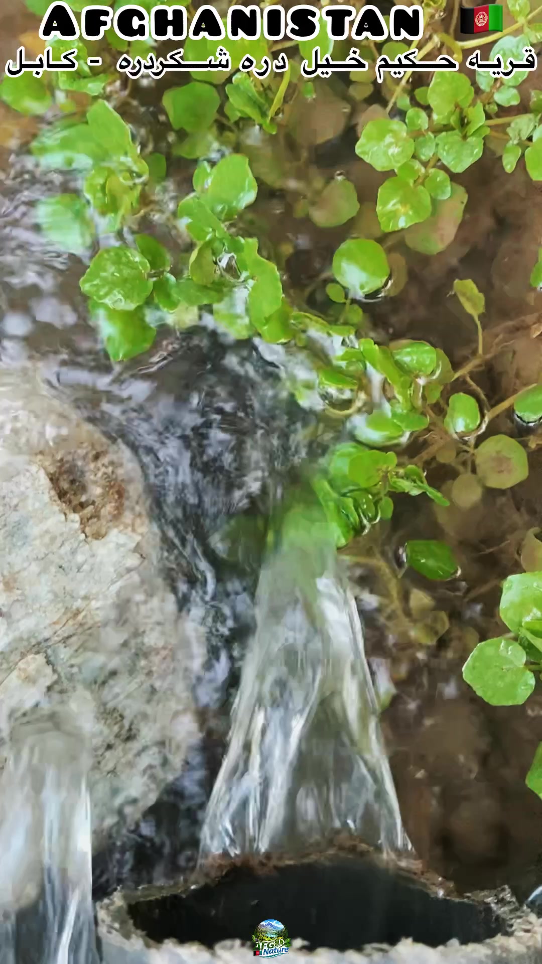 @Afghanistan Nature 🇦🇫