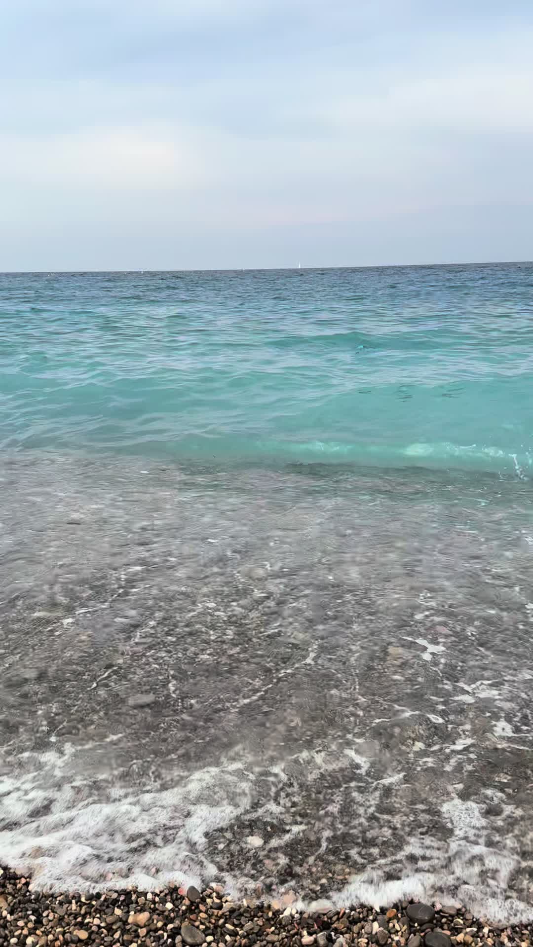 @Linalife⭐️