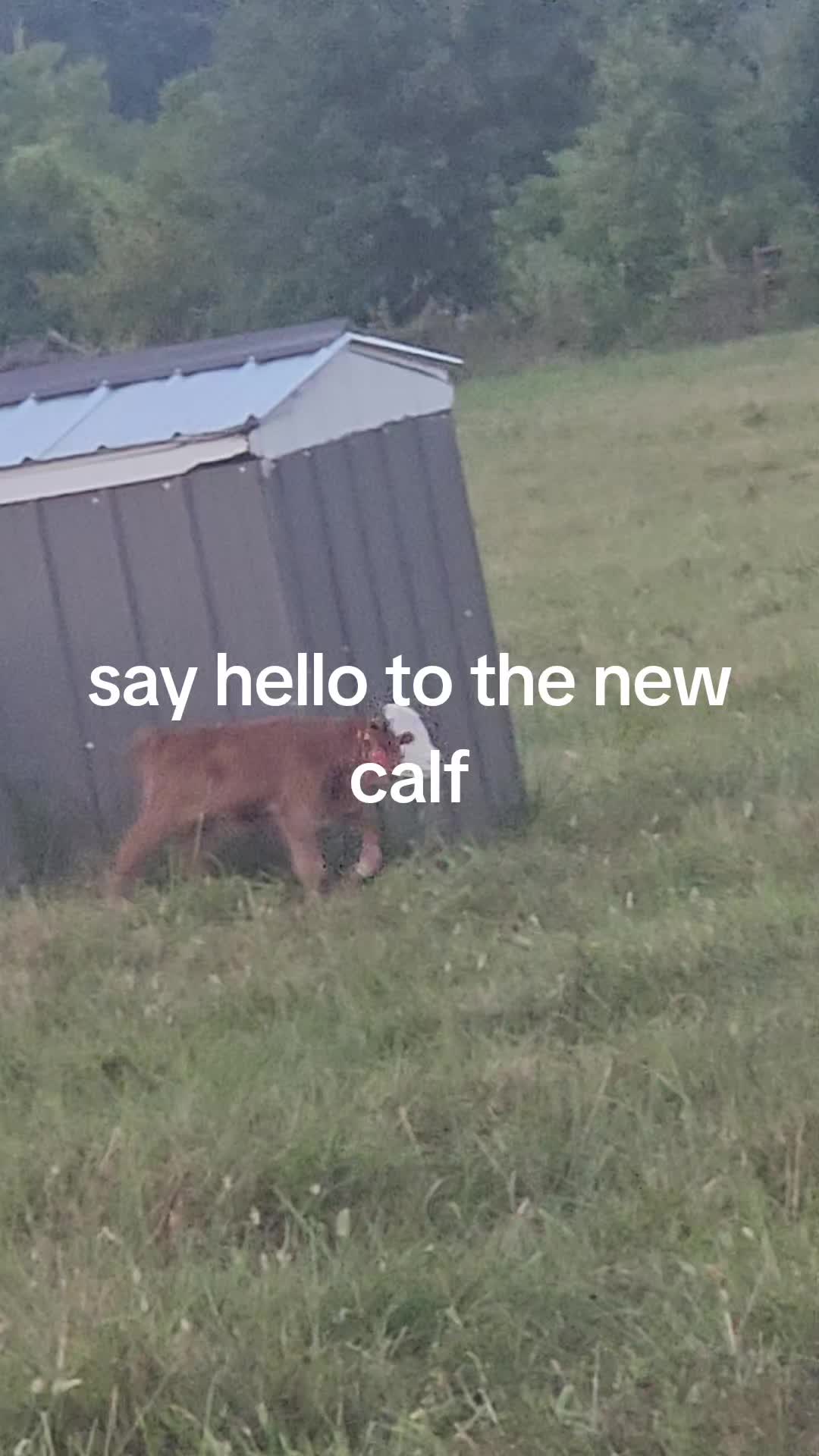 @Davy ❌️Eagon