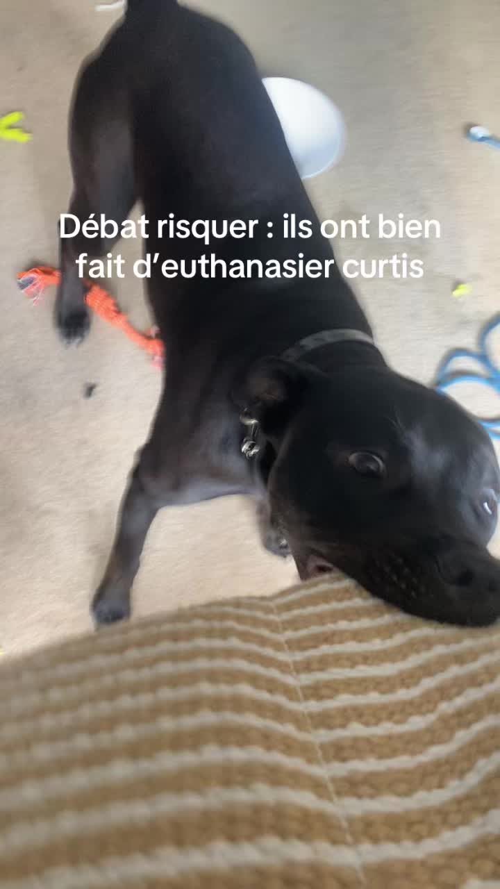 @les.aventures.de.naya