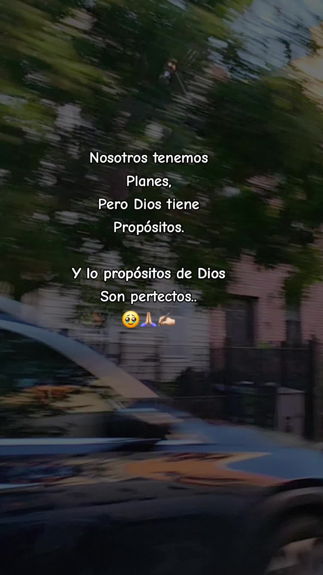 @🎶🎵🎧LUNA🎶🎵🎧