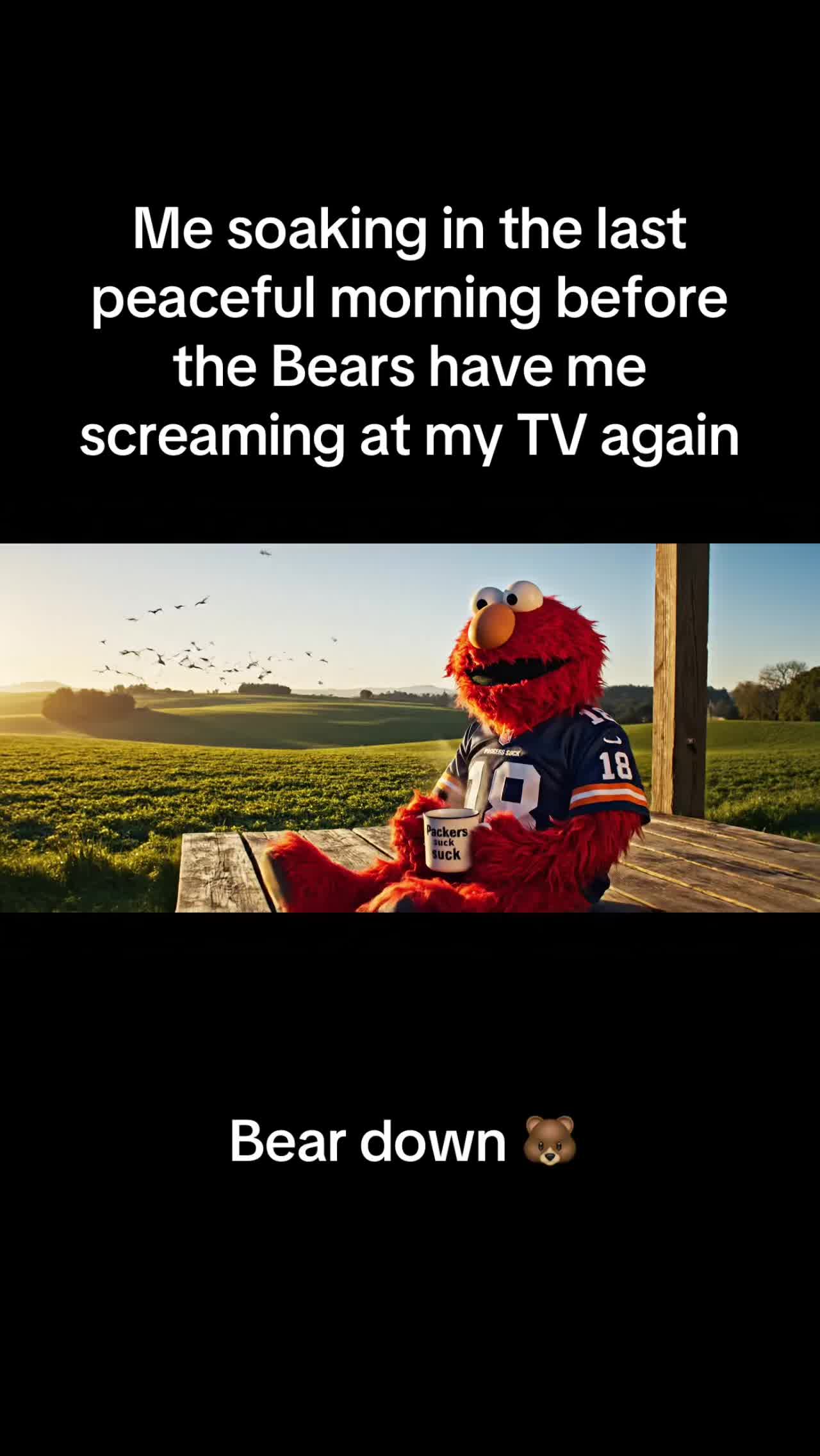 @Gangsta Elmo