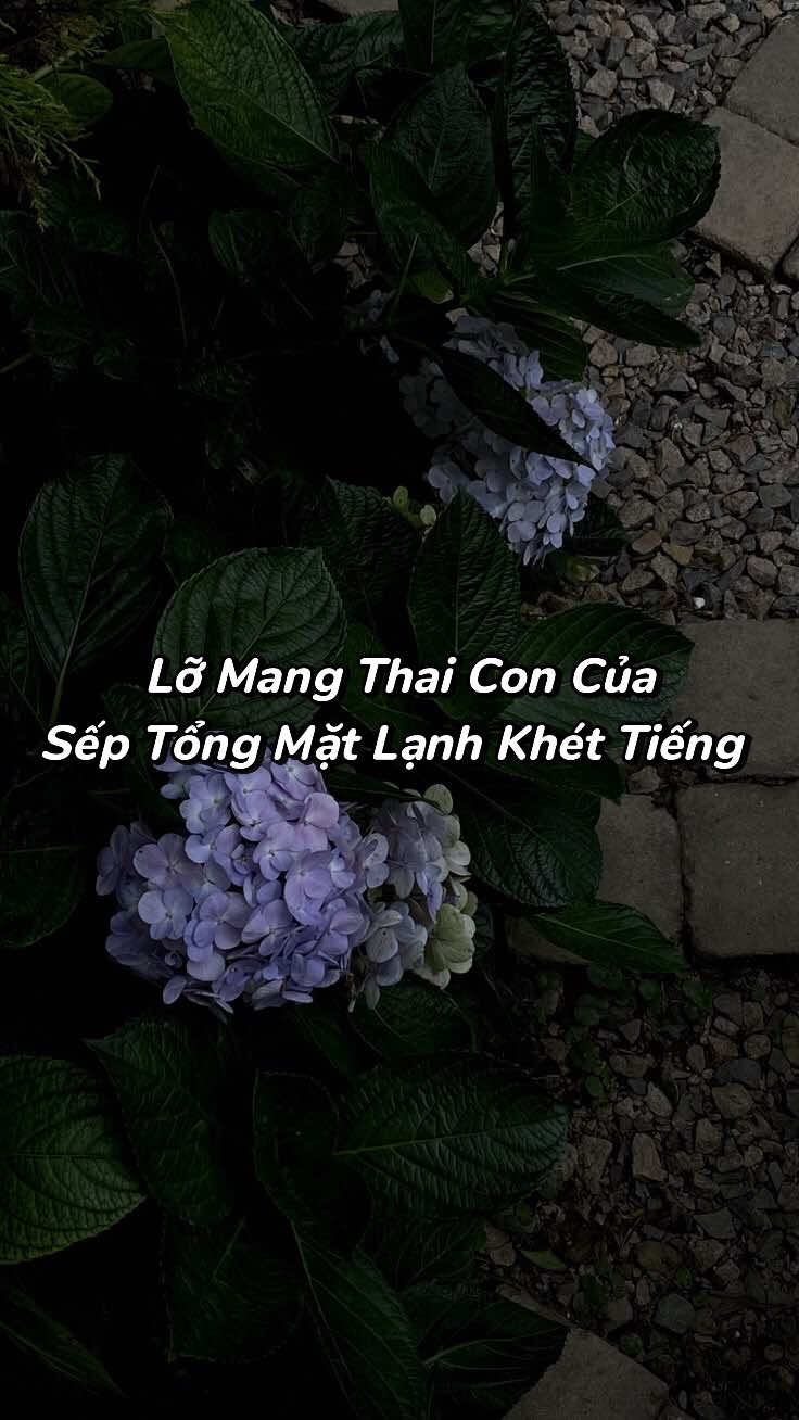 @Bạch Lang Audio🌷