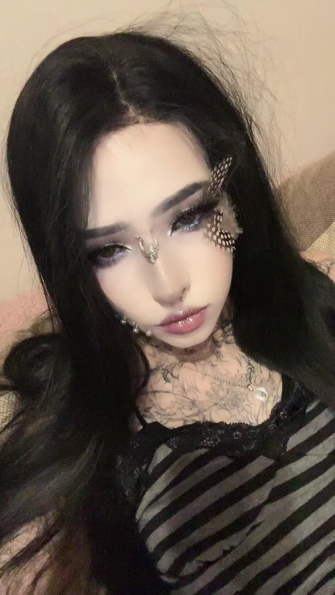 @dark dynasty