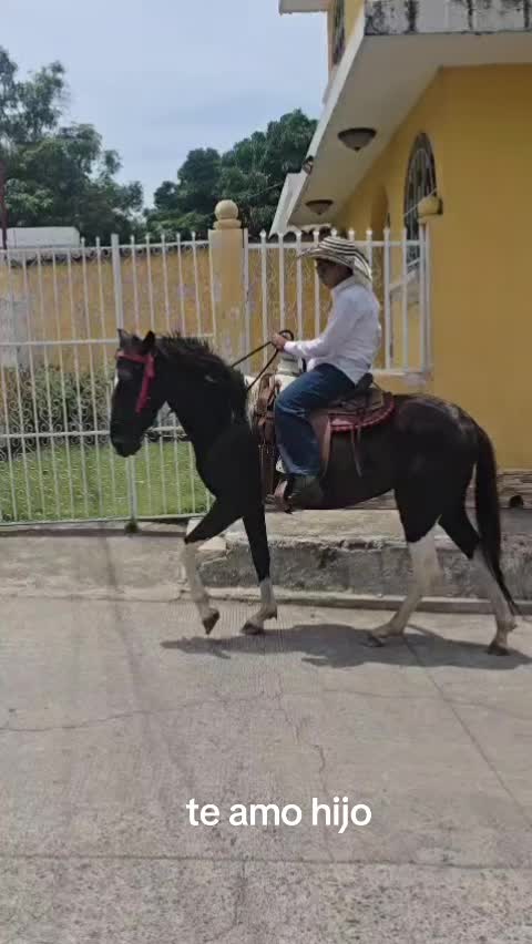 @javieralexanderma70