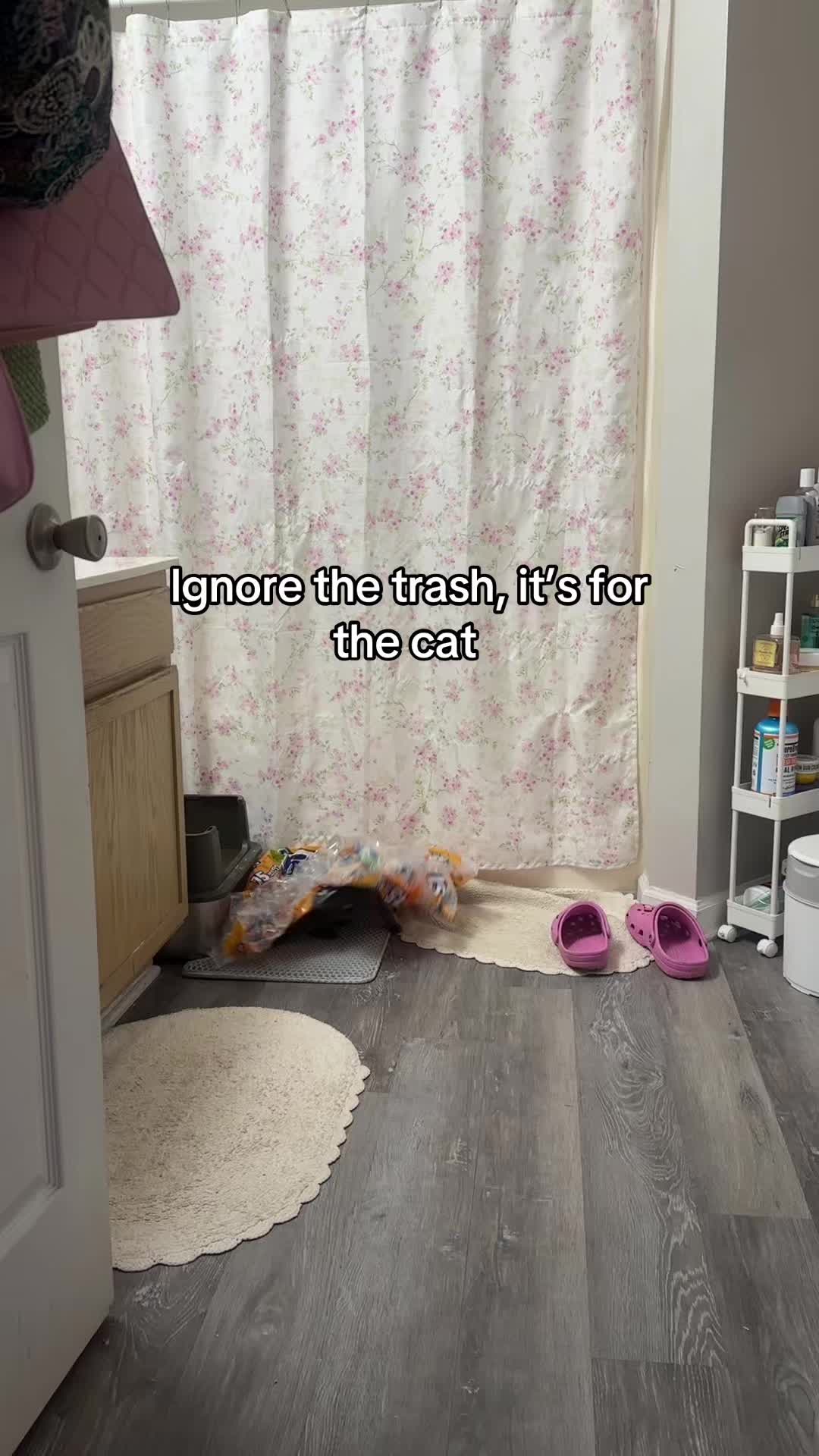@Shanaya ❤︎
