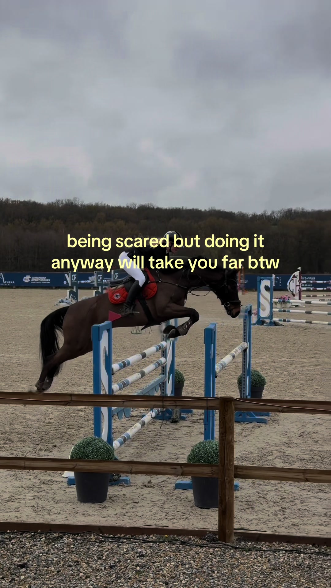 @michelle freisinger