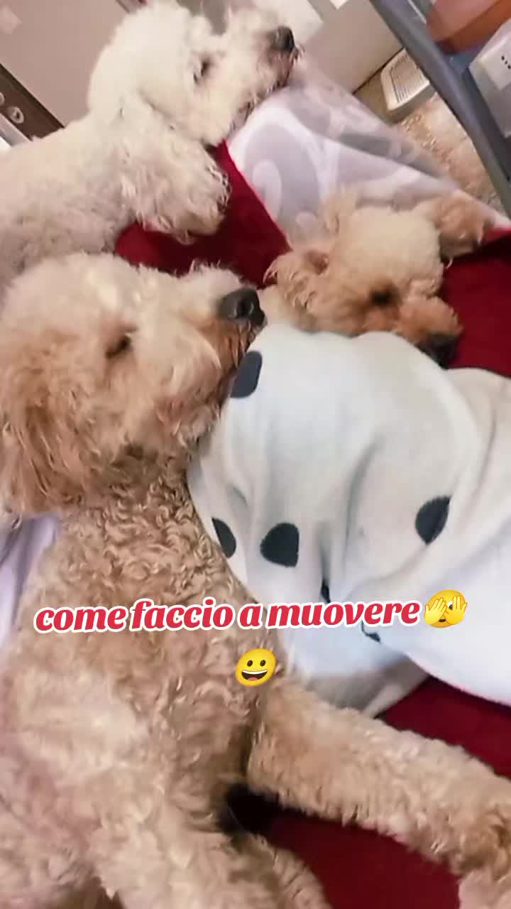 @Julie in Italy