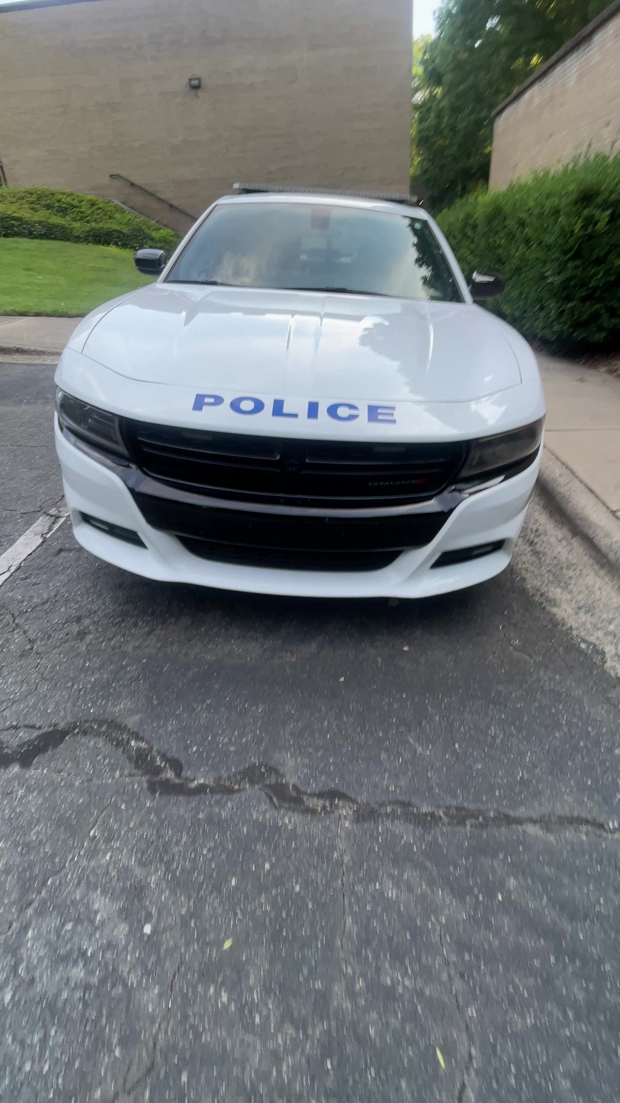@code3cmpd