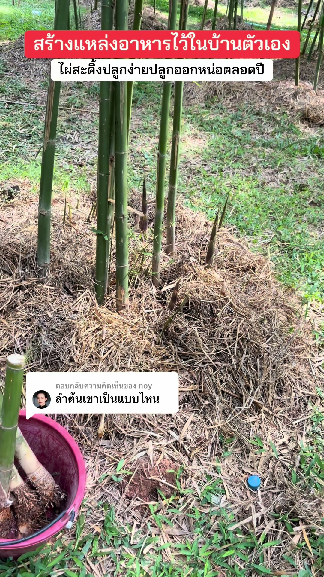 @นัดดาชอป