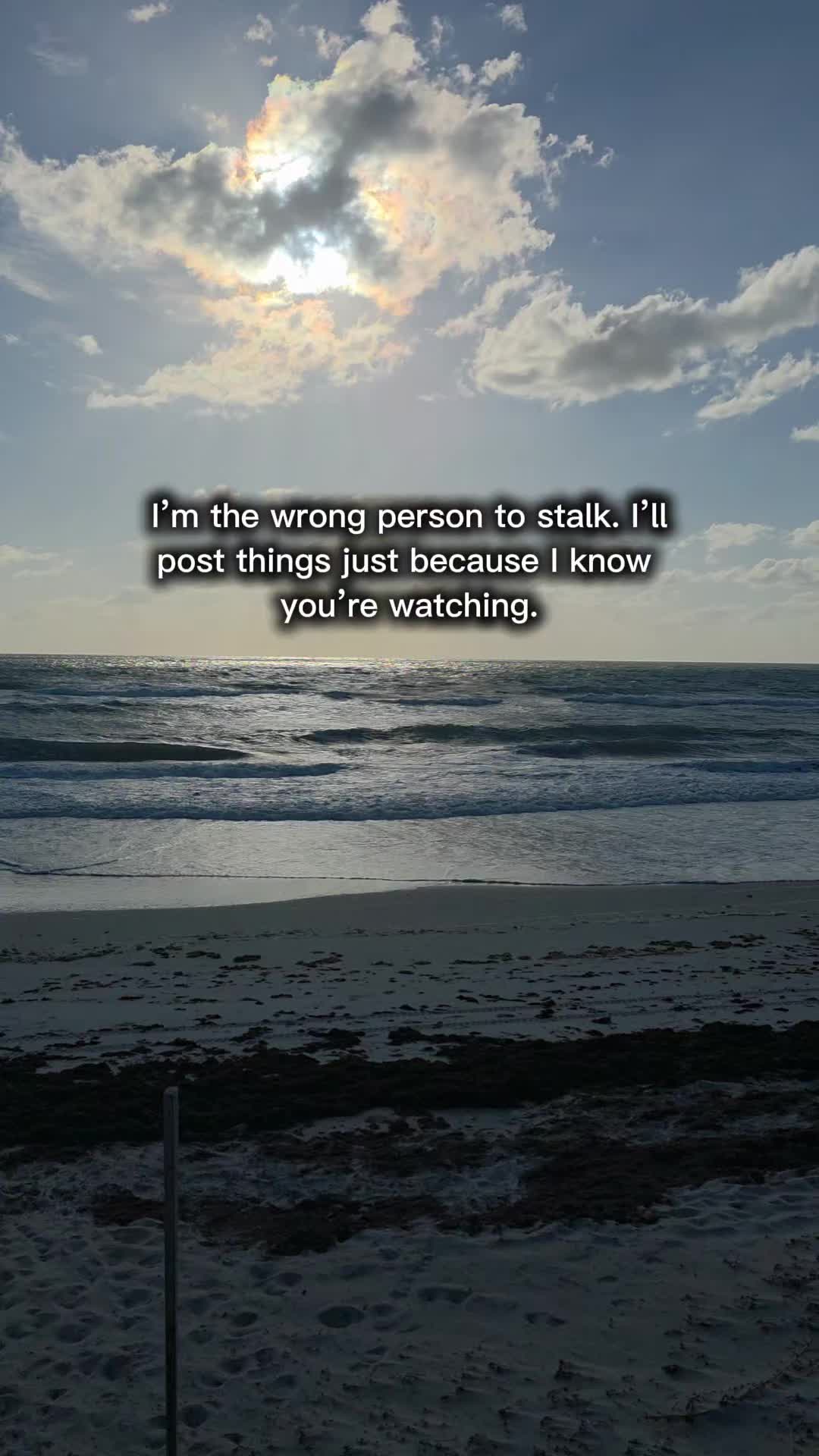 @Phoenix21600