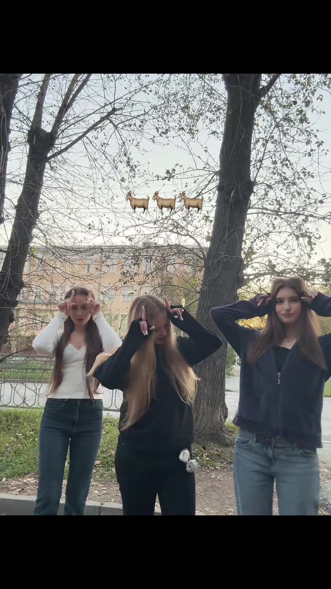 @Katushaa_mini
