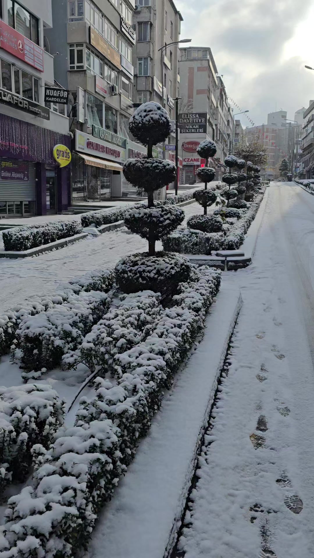 @OYLUM DMRCİ