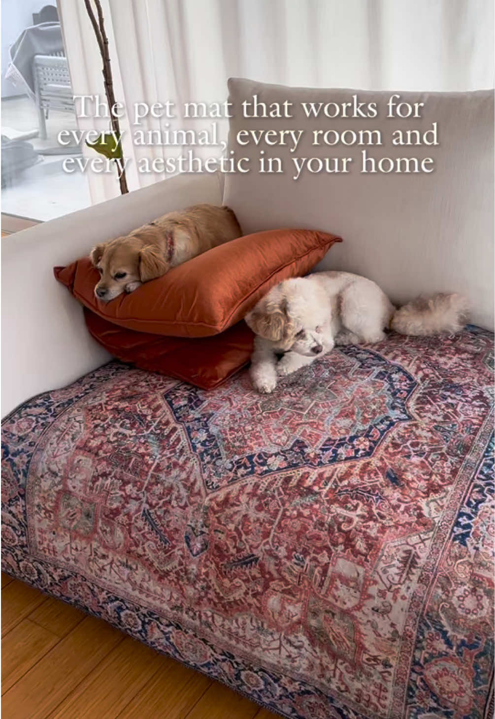 @Lovewag Pets