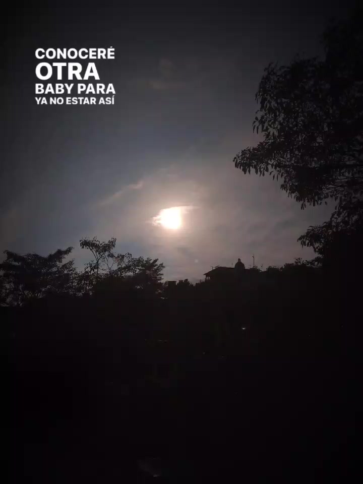 @arbolerasimia🦍