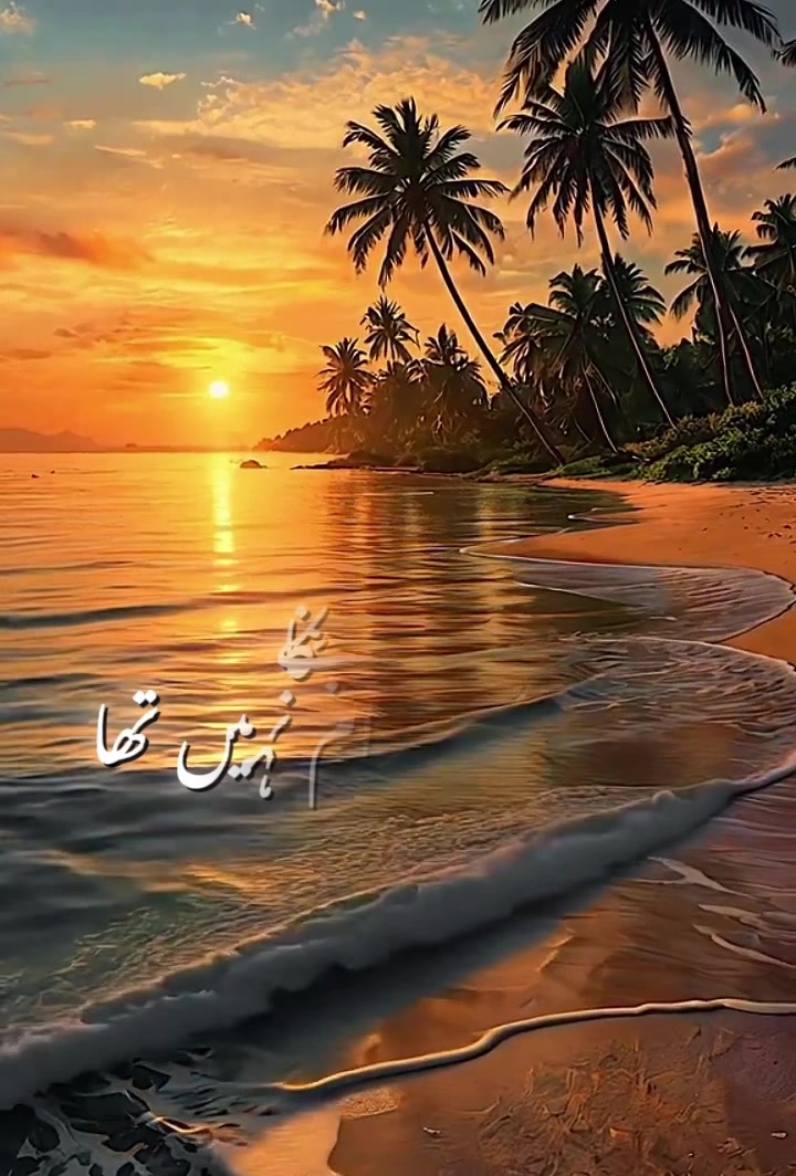 @Sadia Khan USA 🇺🇸🇵🇰