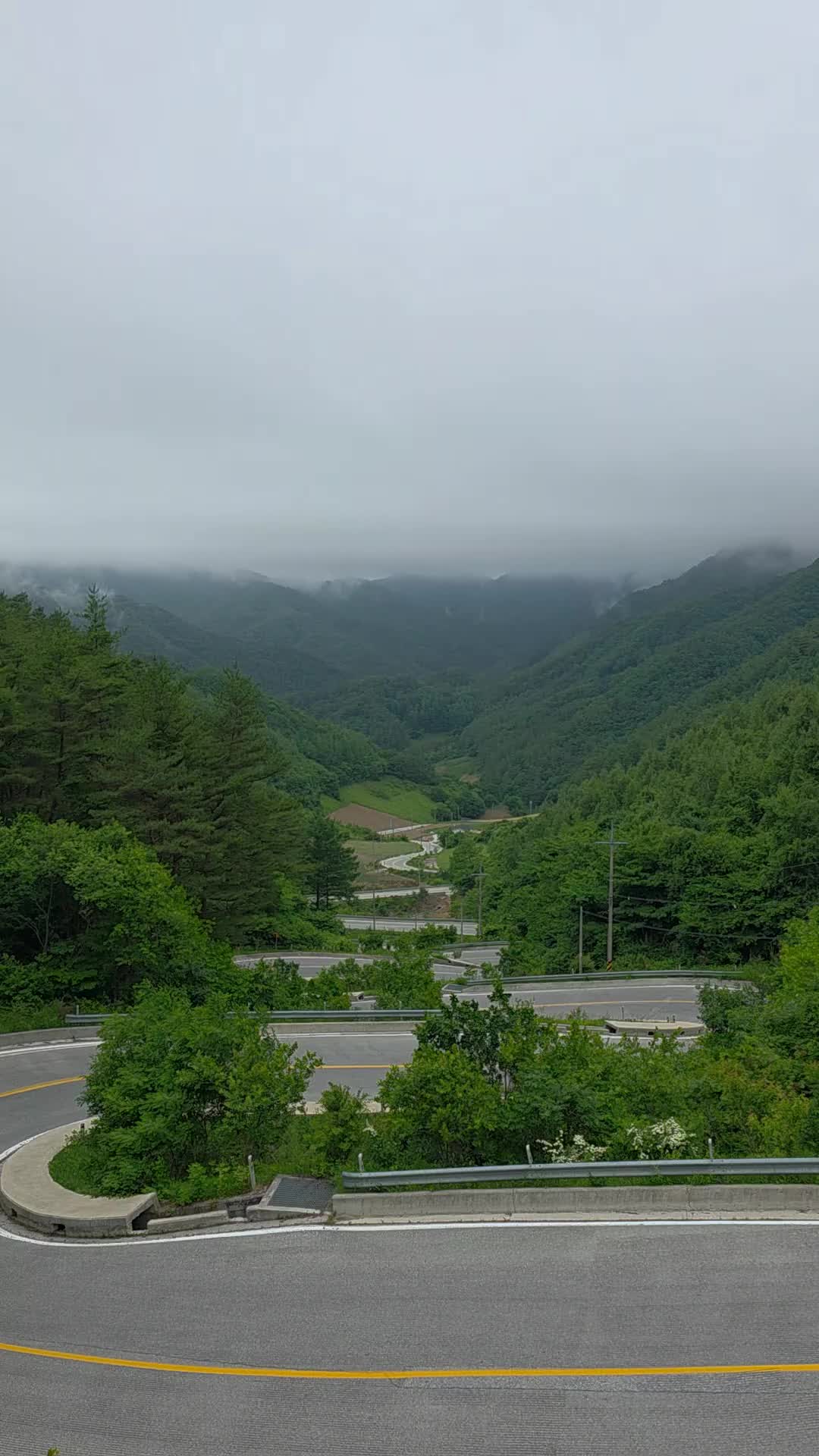 @유튜브 "정선사람들" 안용현