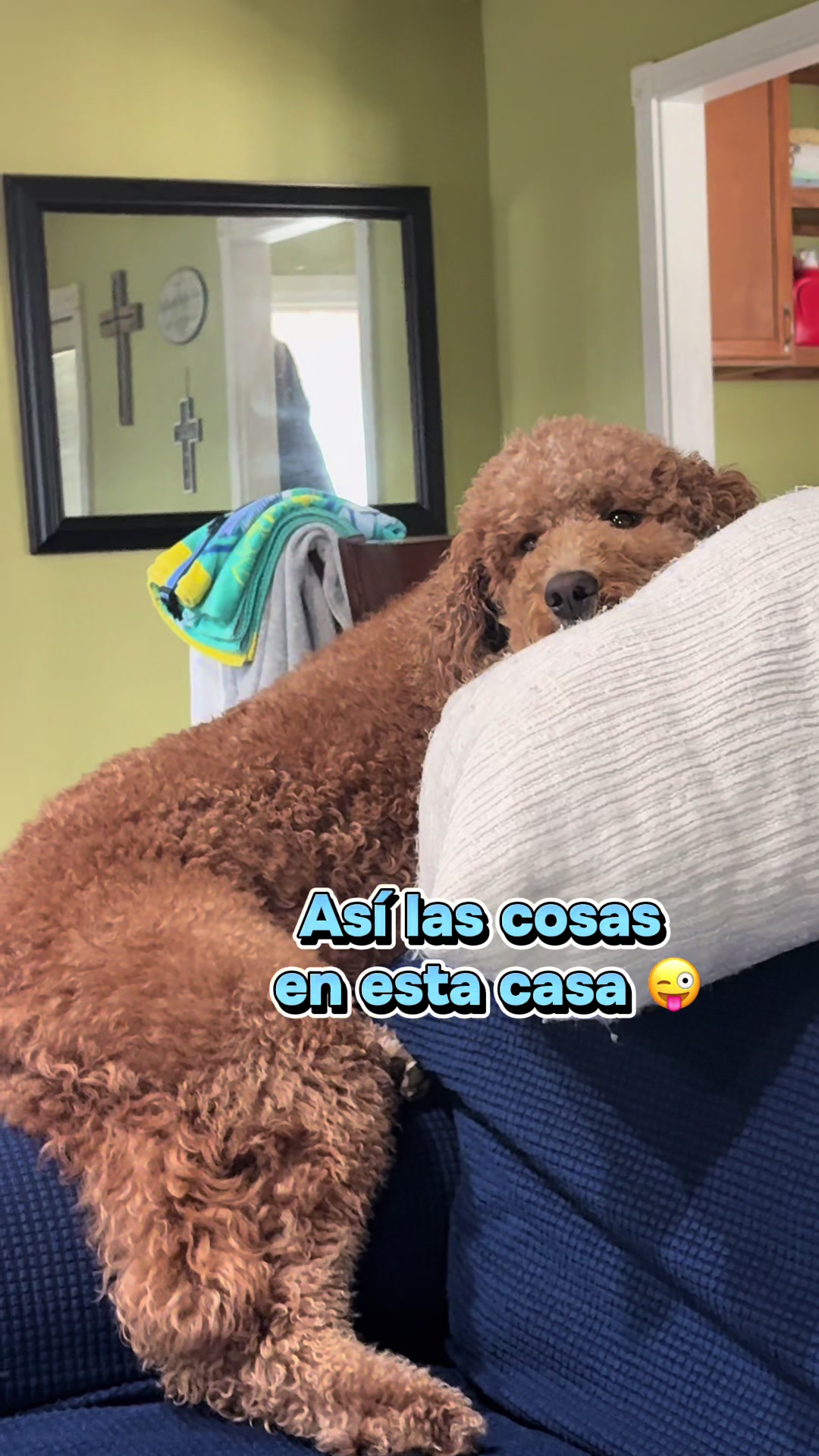 @Reyna y Churro 🐶😍