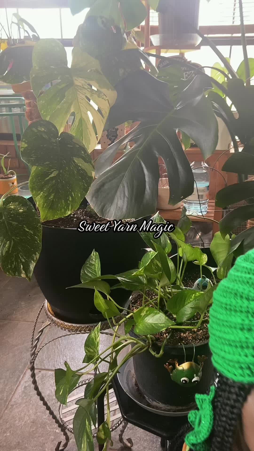 @Sweet Yarn Magic