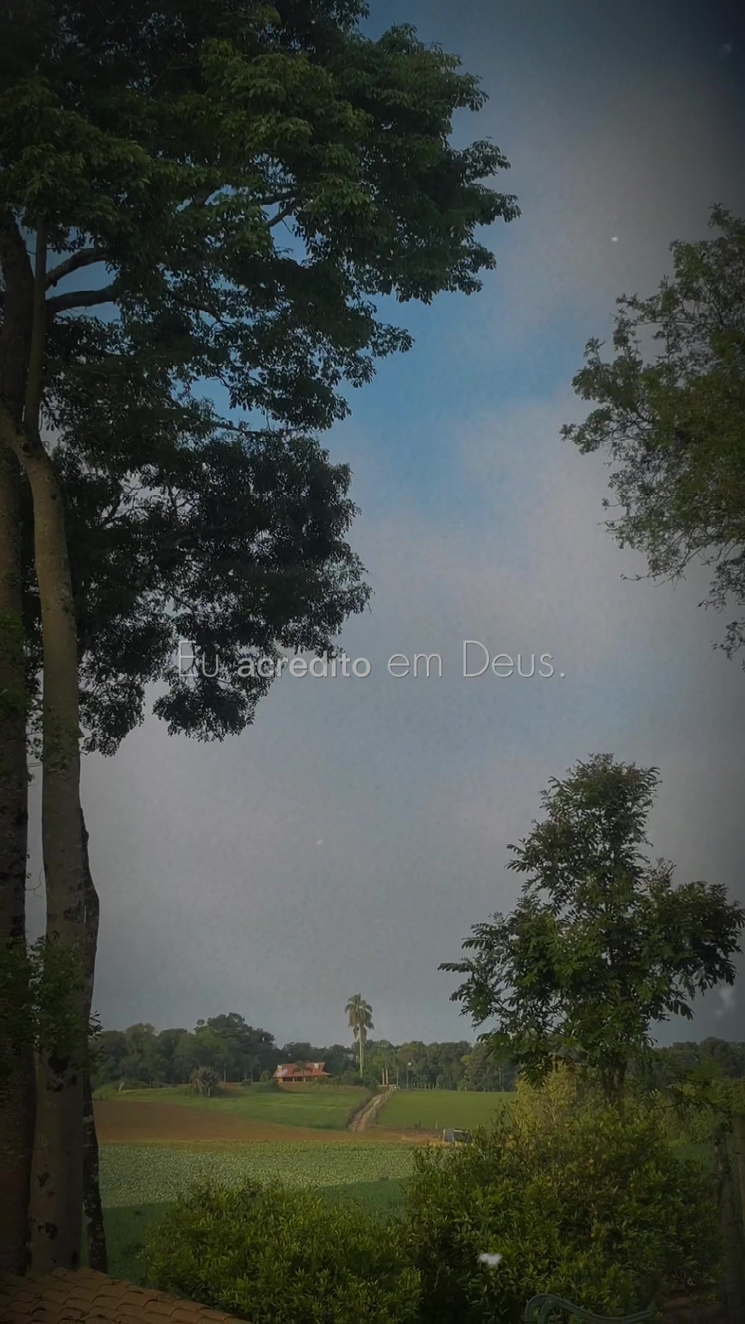 @Fr@ncielle Alves