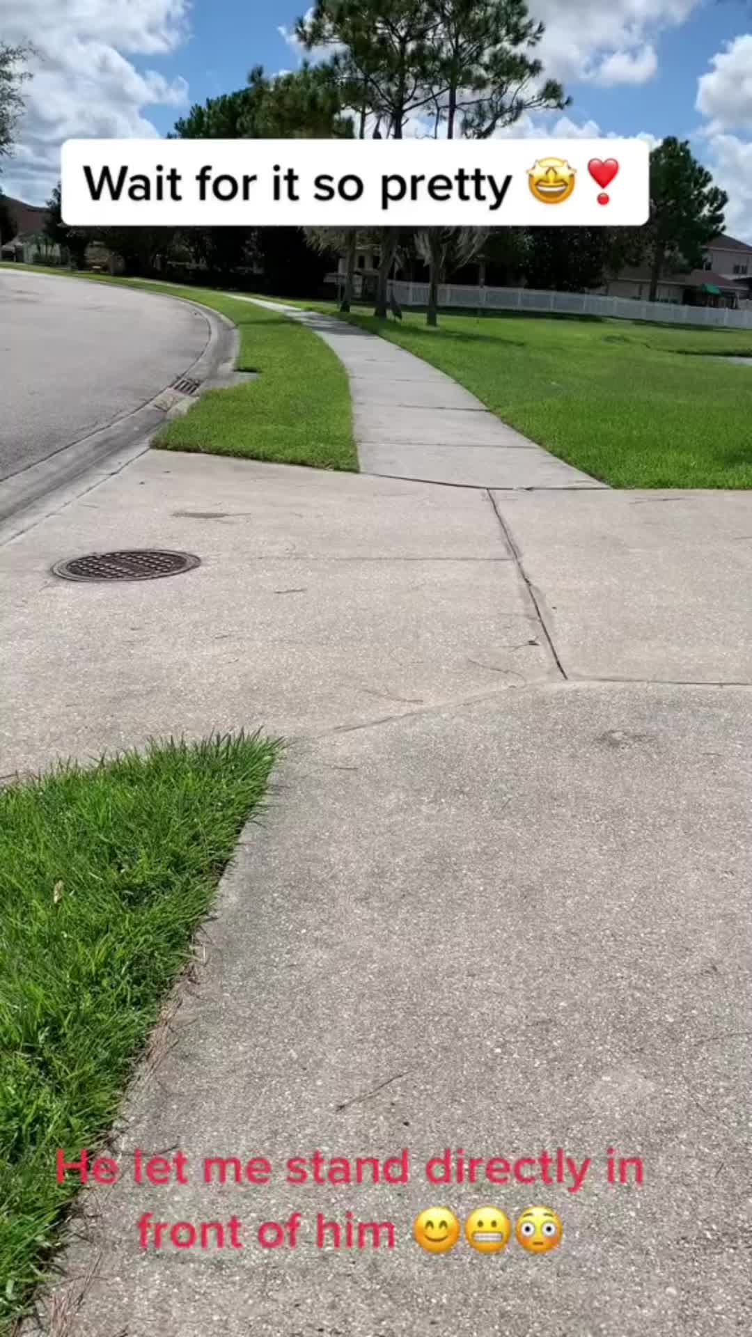 @julia☘️🇵🇷