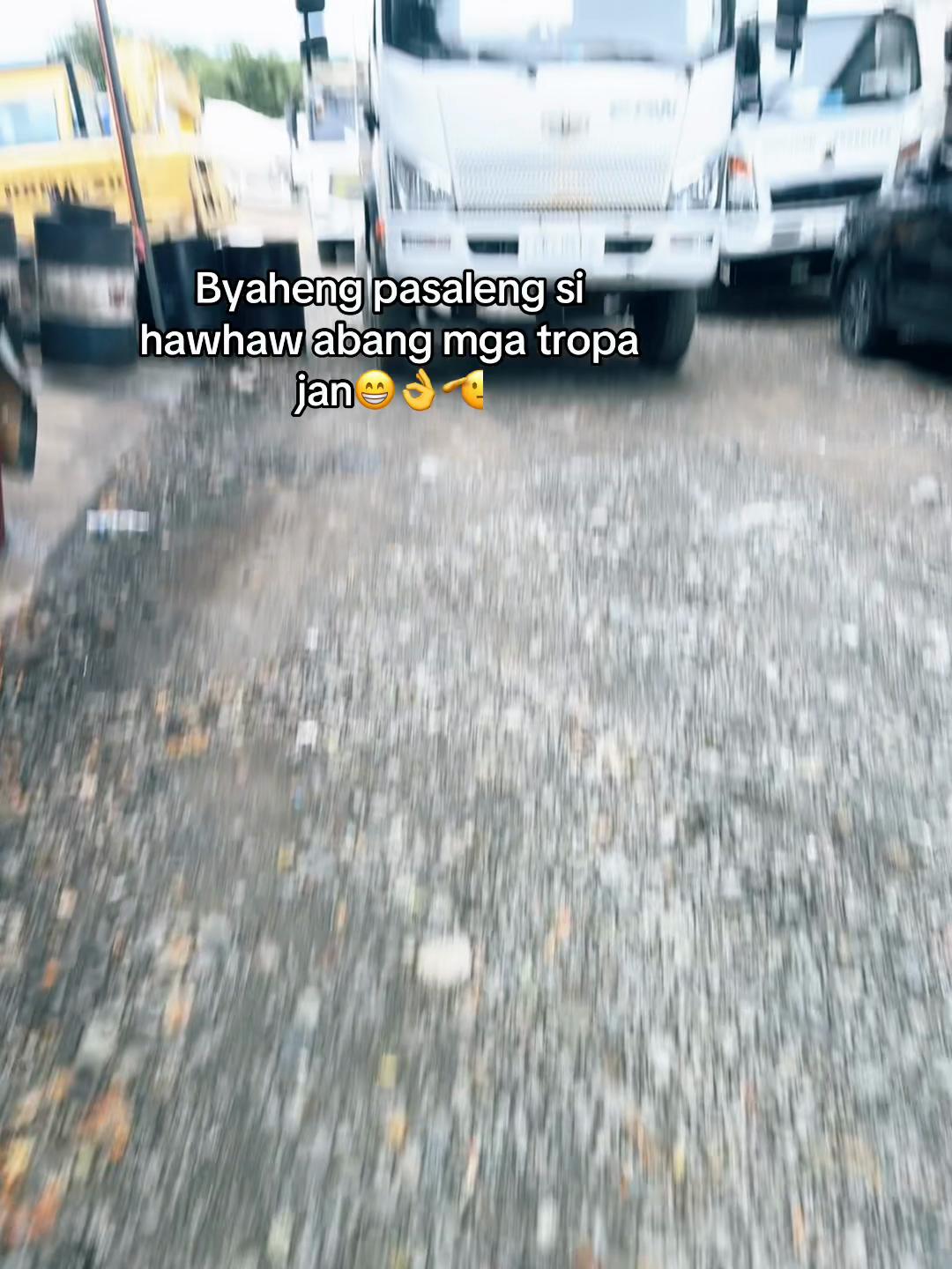@HAWHAW〽️