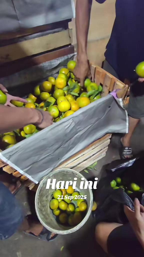 @supplier sayur dan buah sby