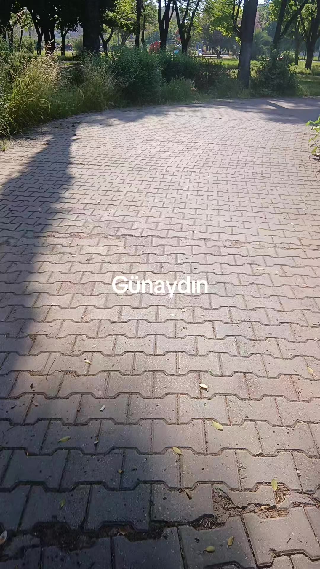 @Zeynep D&uuml;zdelen