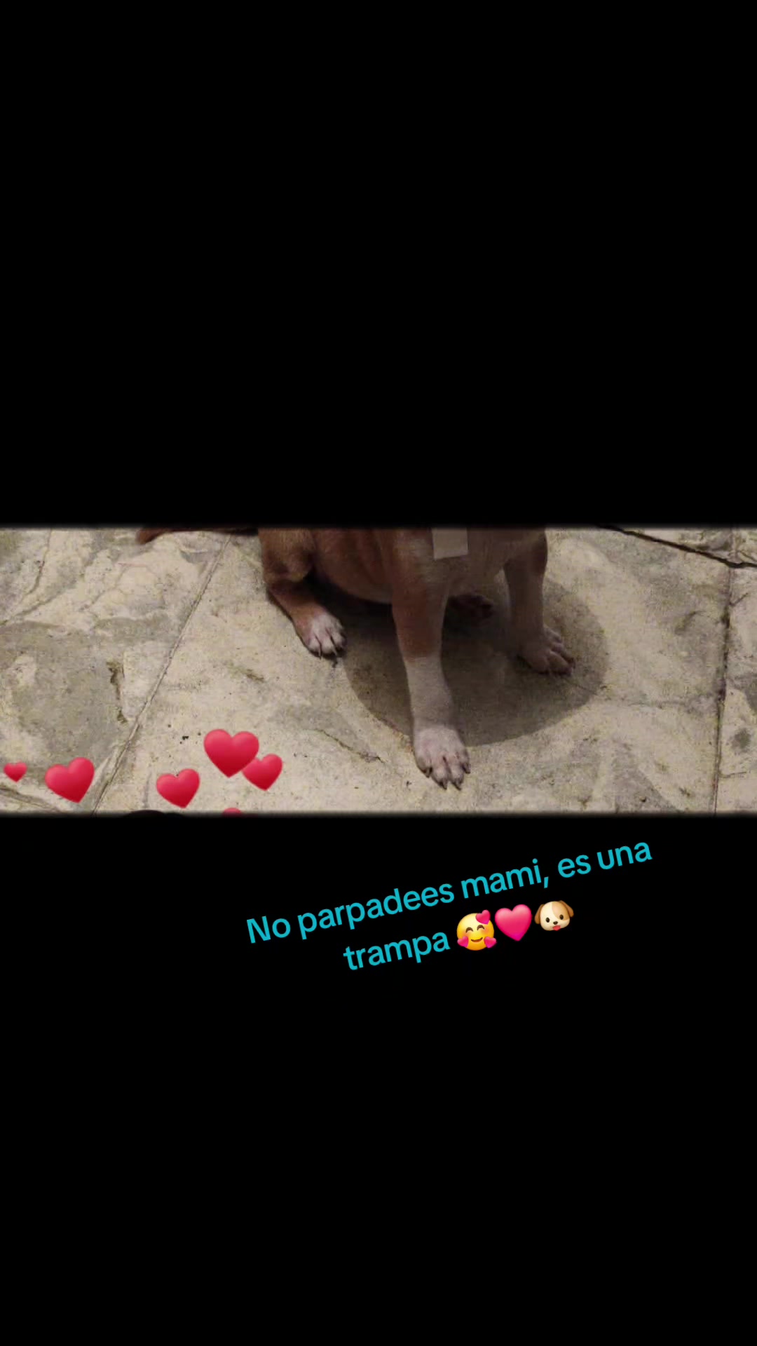 @Karen Aldrete