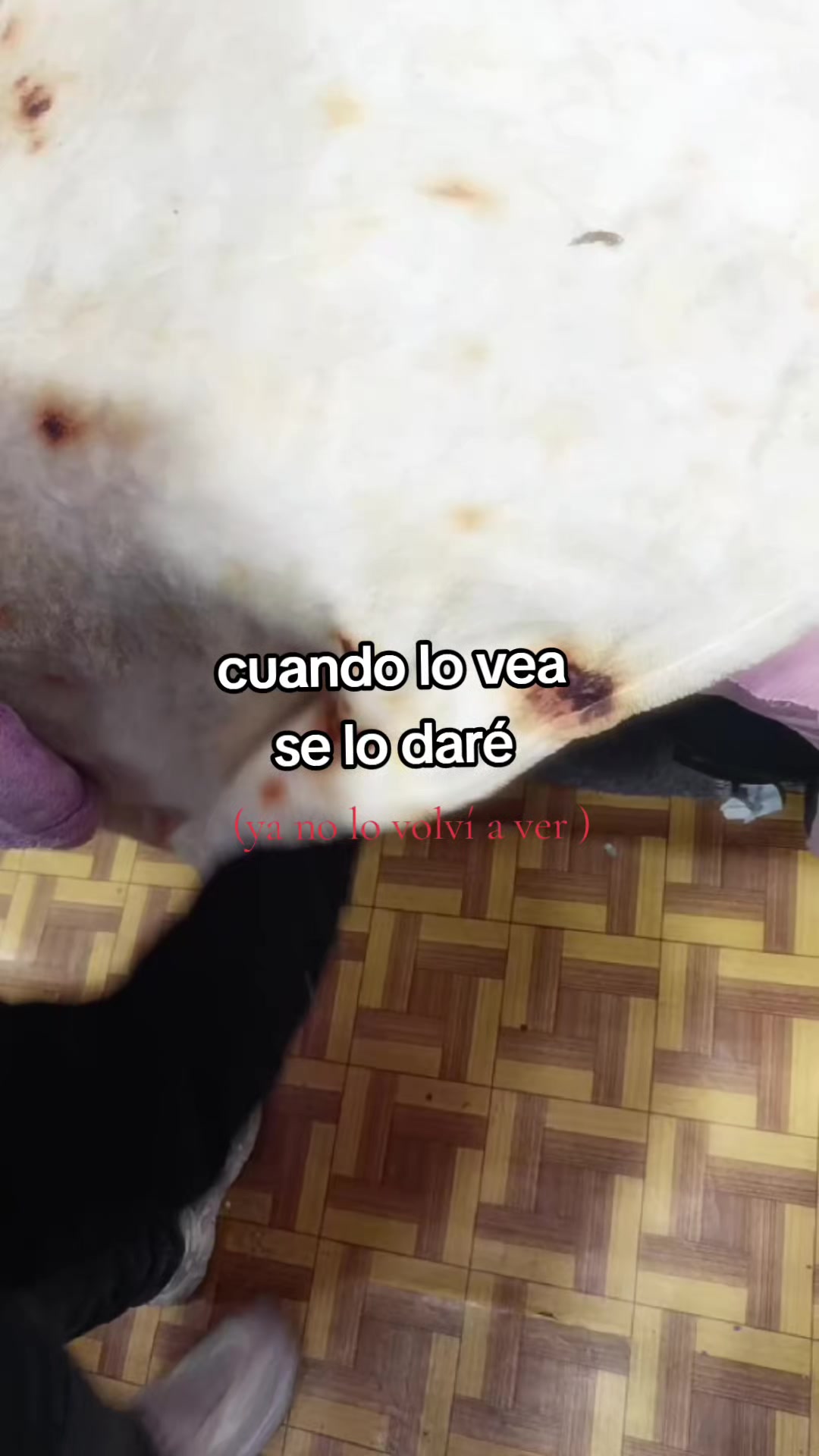 @Carol Chavez