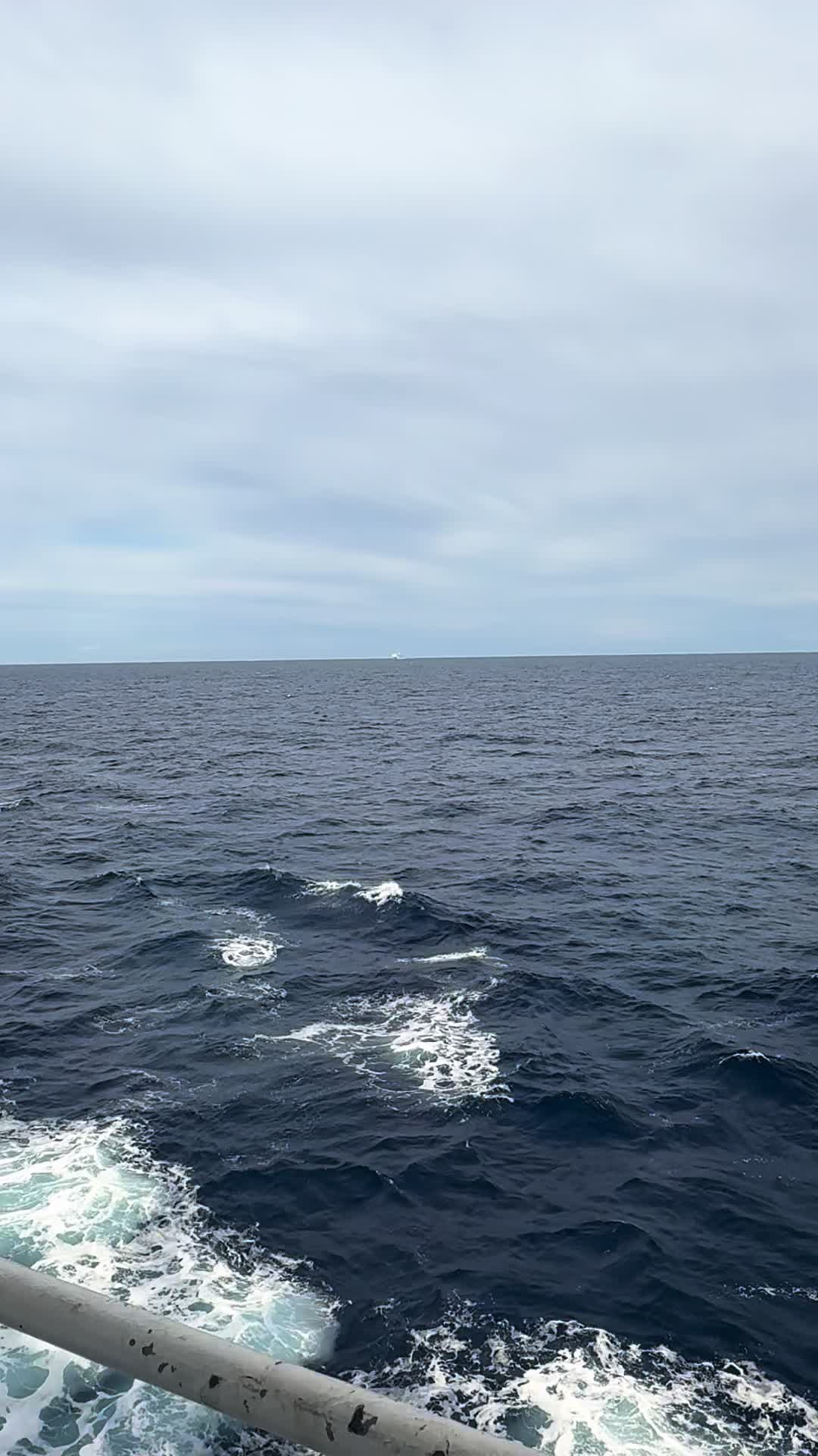 @sᴜɴɴʏ ʙʀɪɢʜᴛ☀️⚓️🚢🌊