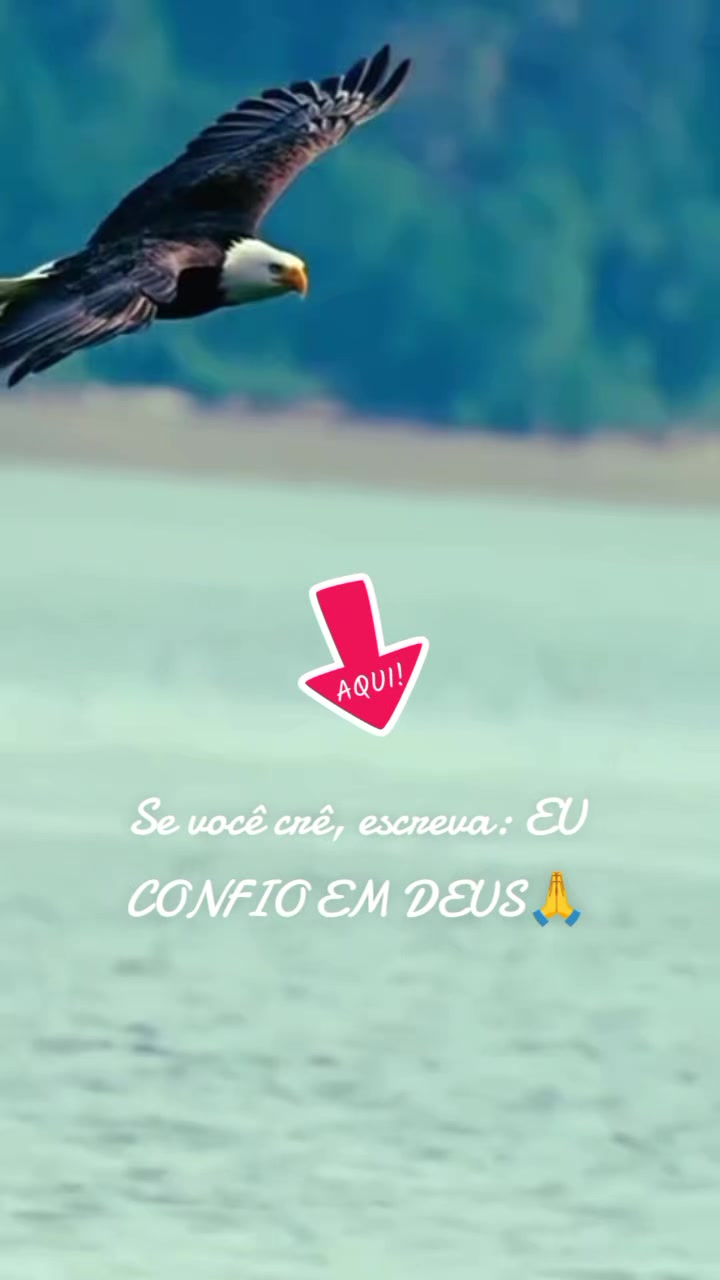 @Jean Cerqueira