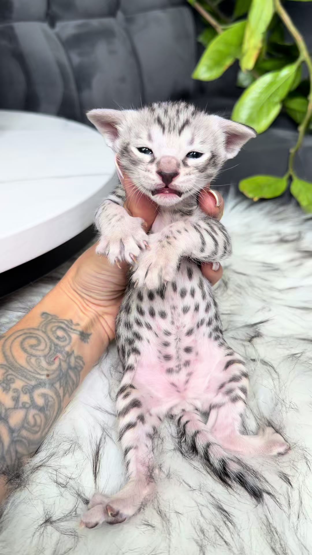 @Владислава Котова