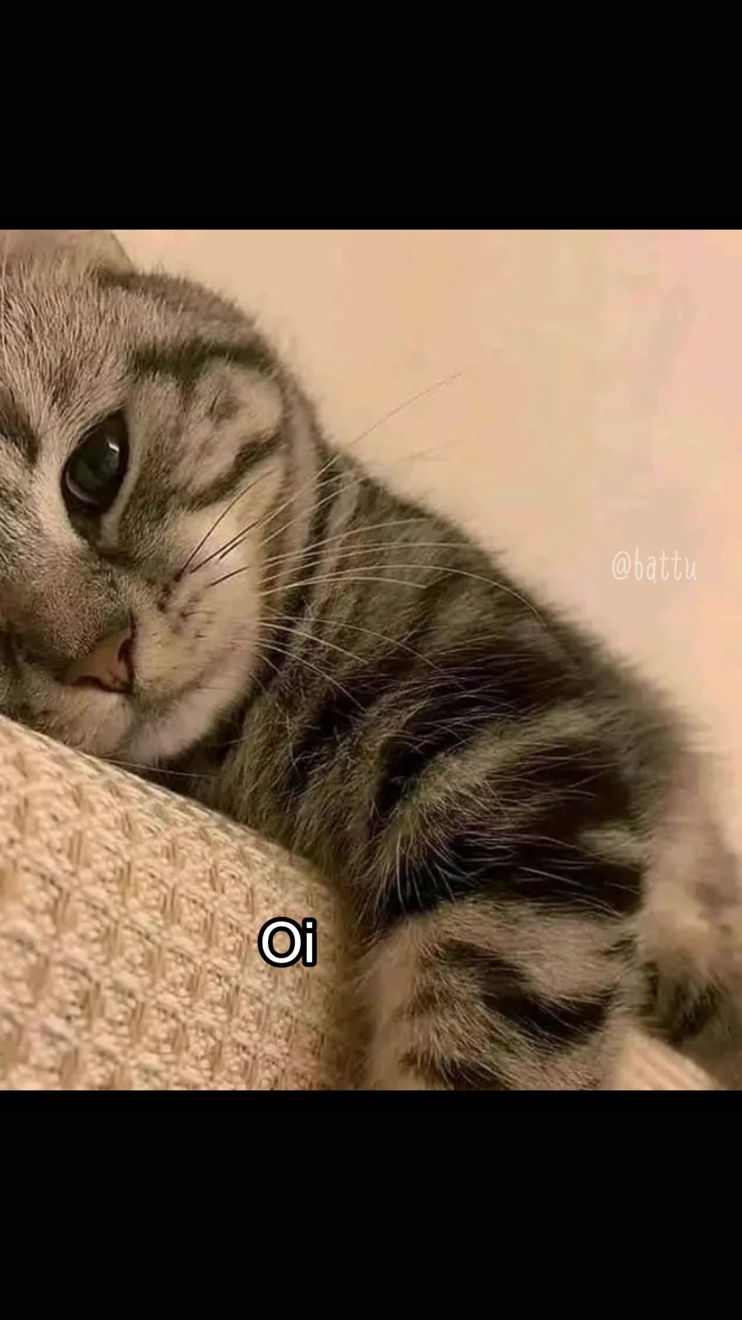 @Battu