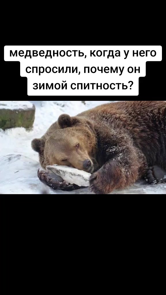 @Поющий нагетс