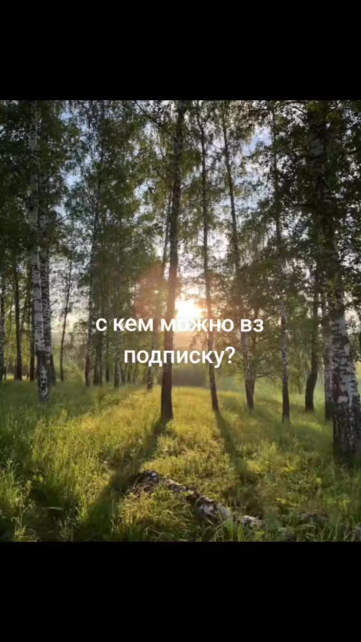 @🍸