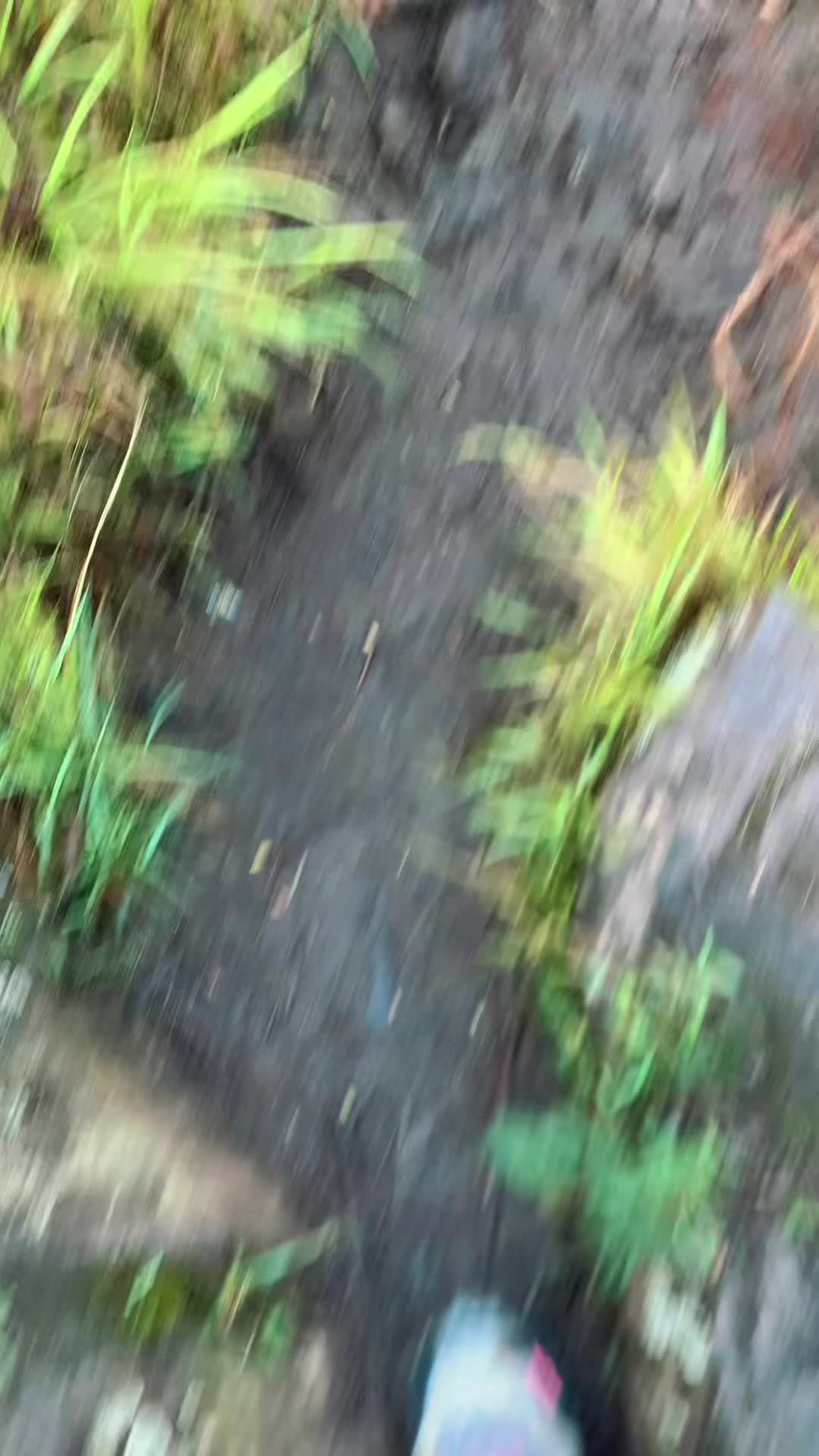 @jhanyyyy