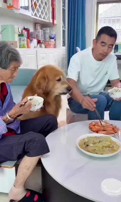 @Funny