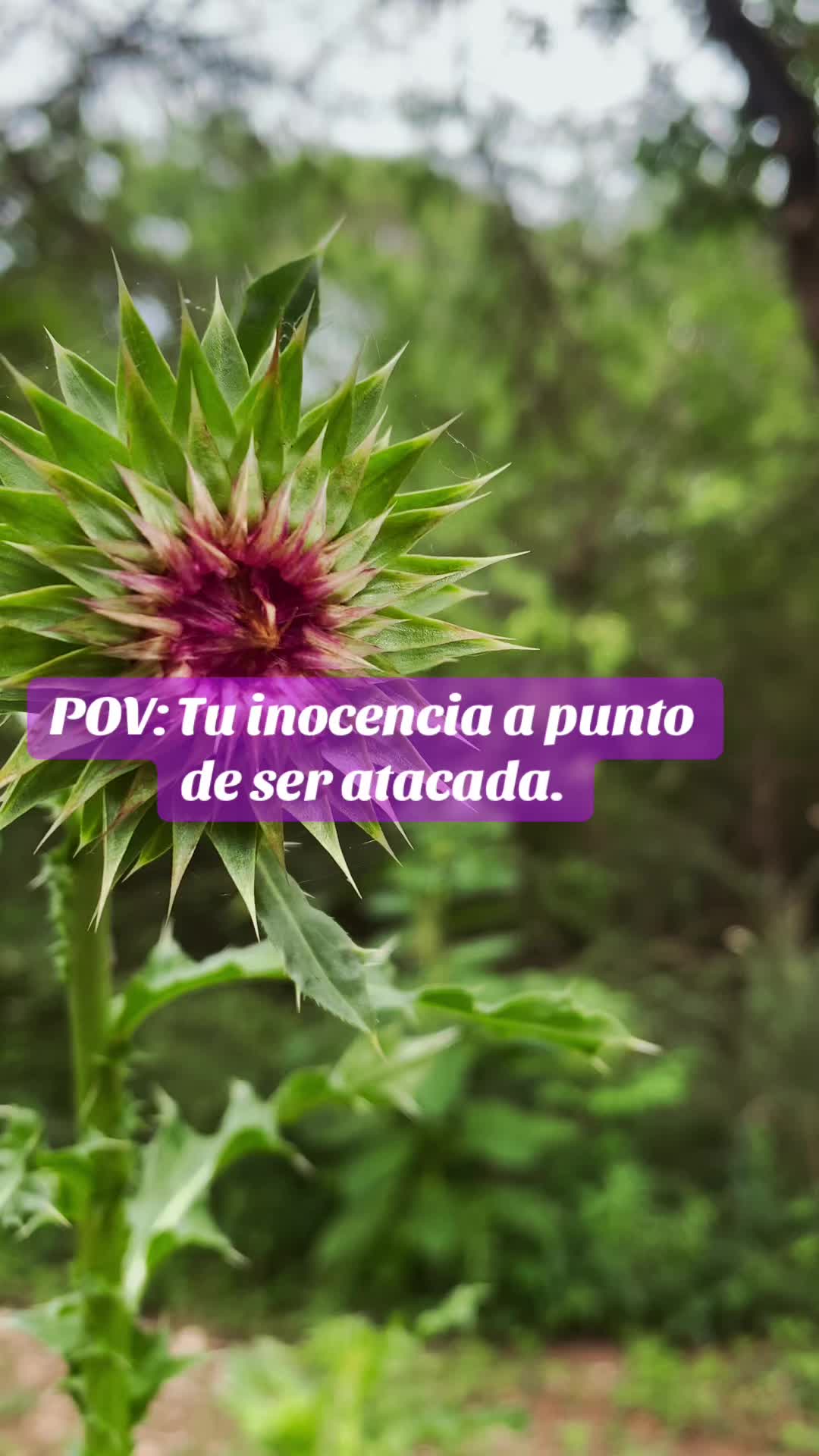 @Tips naturales