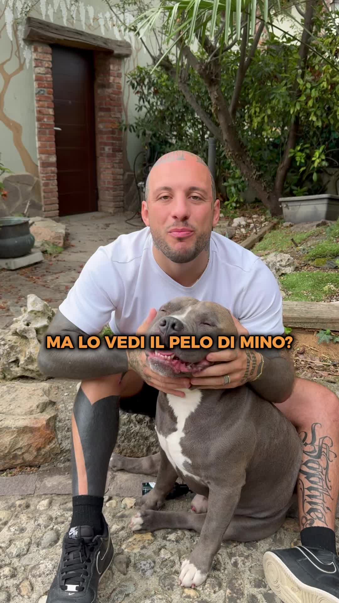 @MASSI e MINO