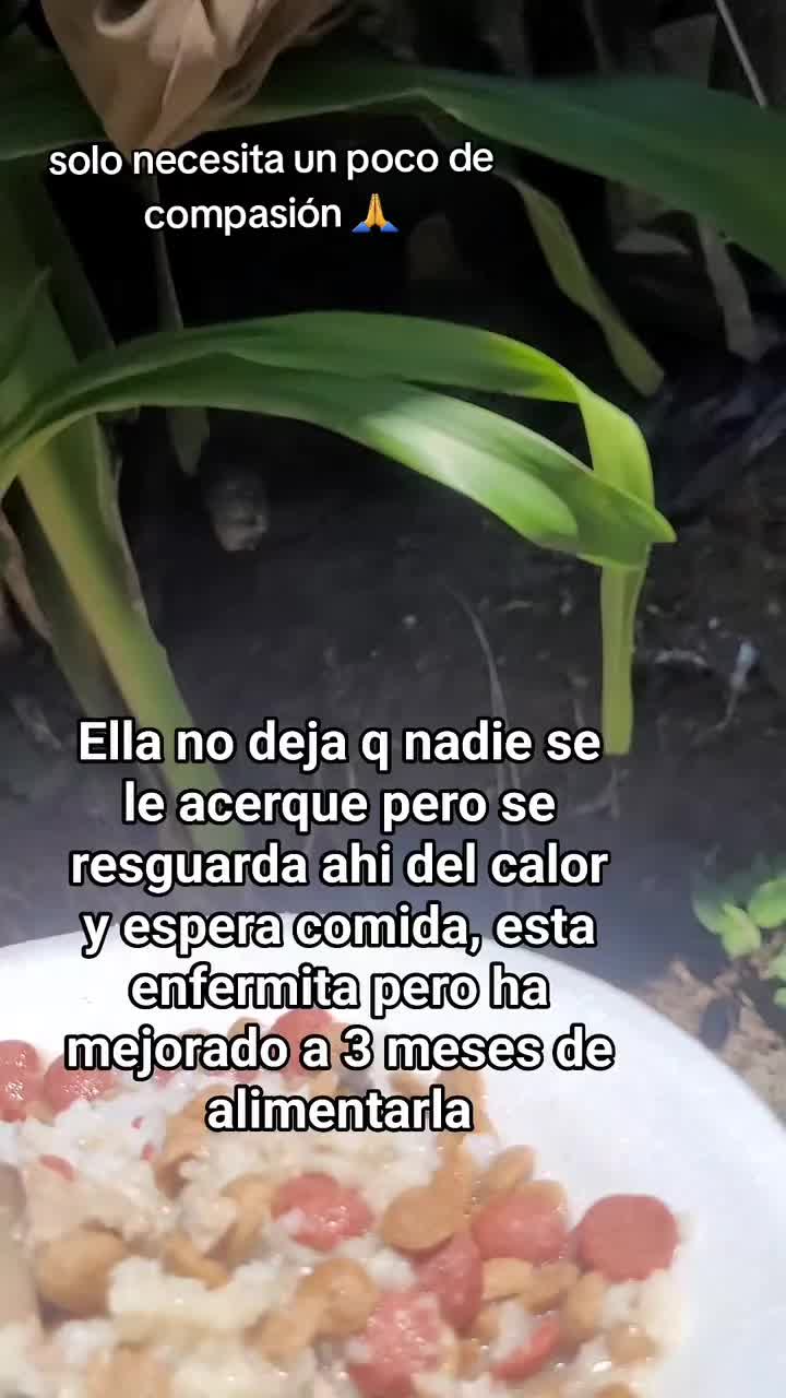 @𝕃𝕚𝕤𝕤 ℝ𝕖yes🇸🇻