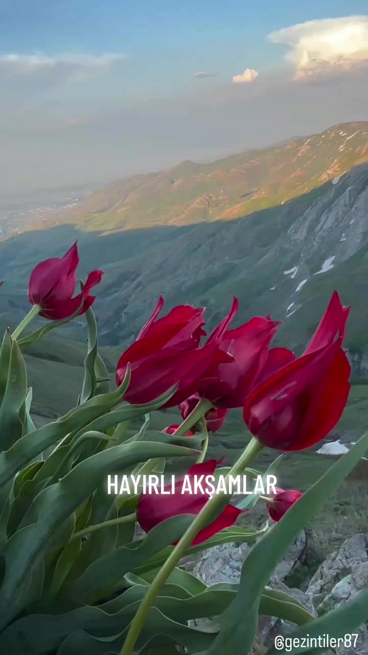 @Hasan Yılmaz