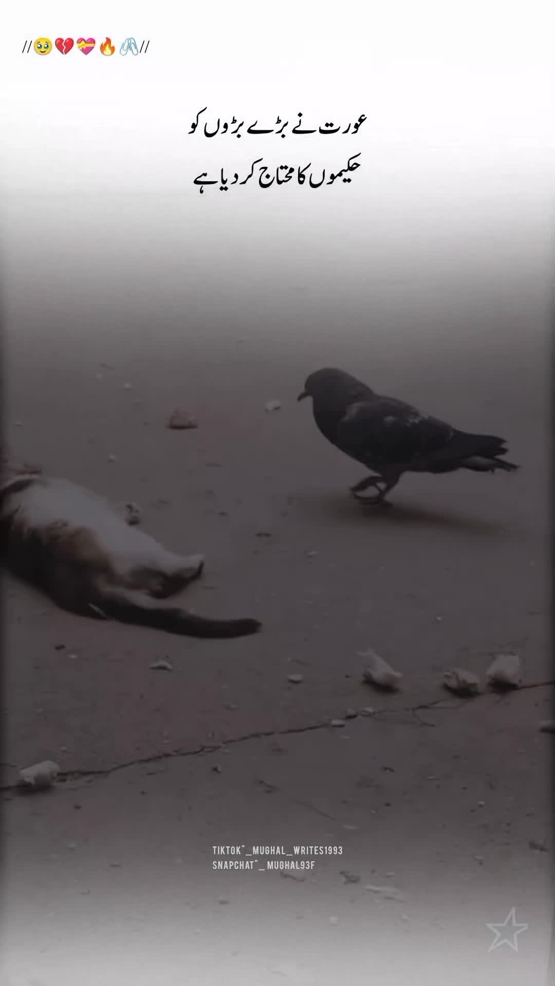 @【𝐌𝐮𝐠𝐡𝐚𝐥 𝐖𝐫𝐢𝐭𝐞𝐬】