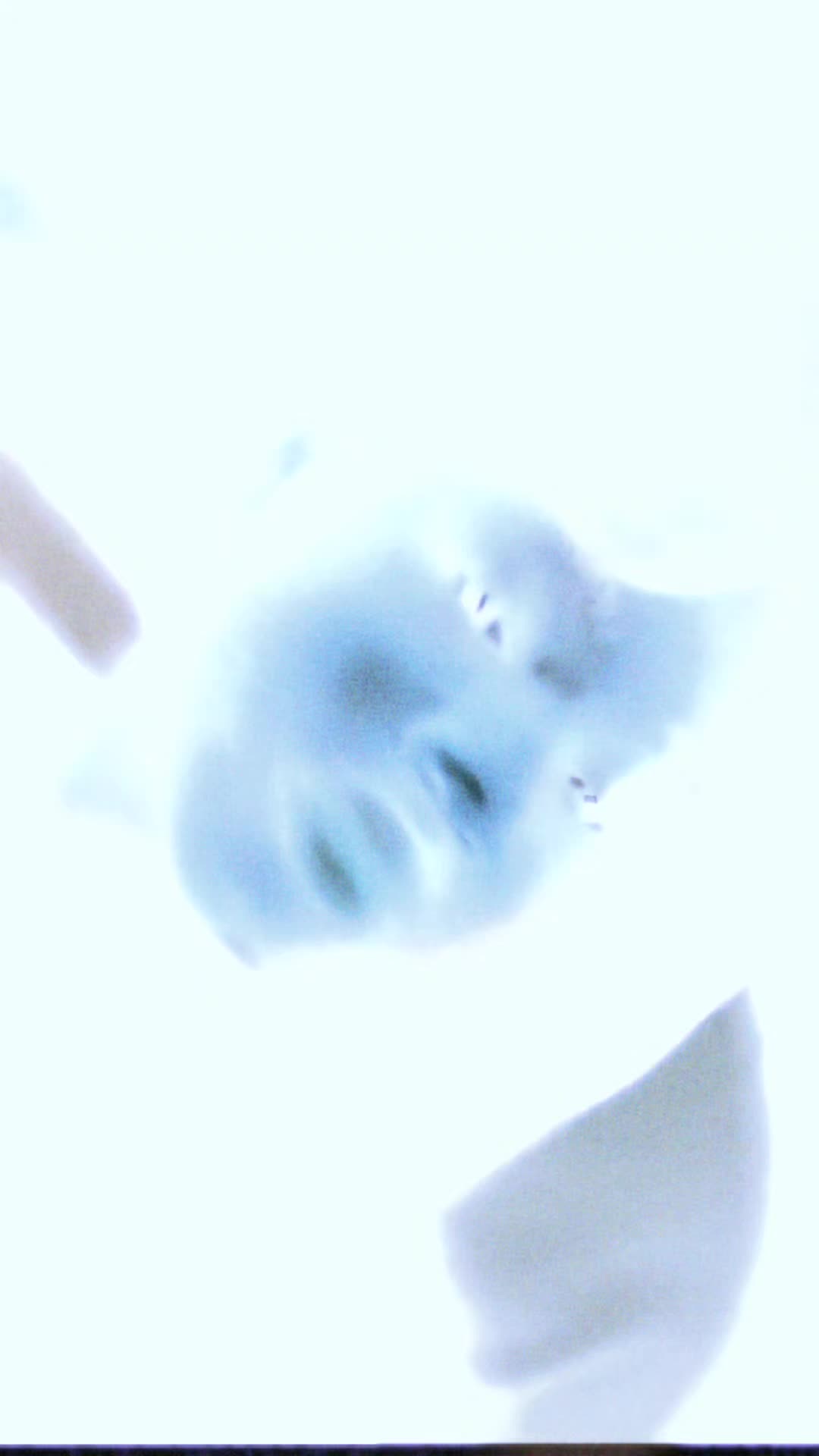 @Kk_ so weird ☆🕷👽👾✝️