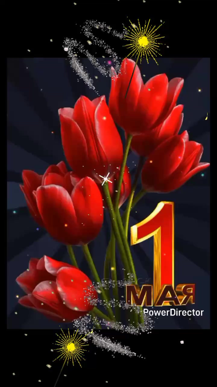 @user25256083356